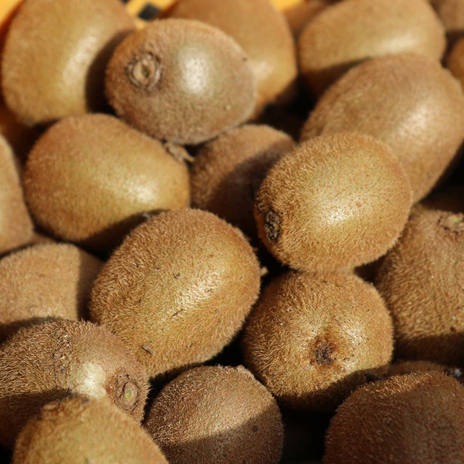 Certified Organic Frozen Kiwis from Japan (Cracked Skin) (1kg) - Horizon Farms