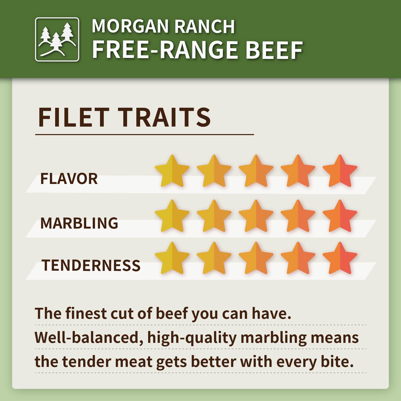 Premium American Grain-Fed Beef Filet Steak Cubes from the USA (250g) - Horizon Farms