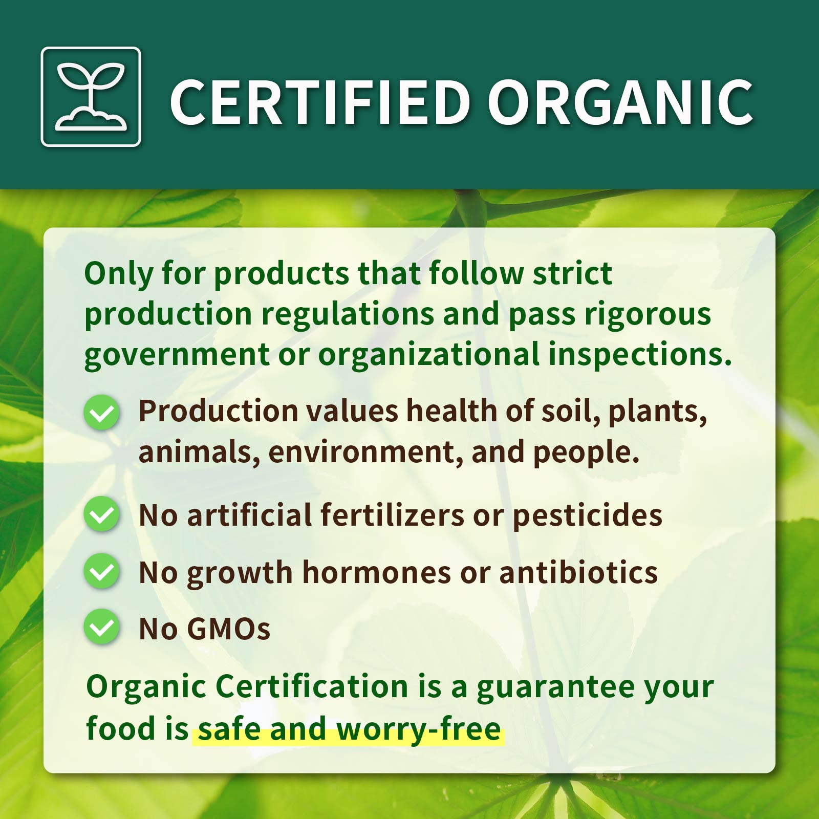 Certified Organic Grass-Fed Beef Loin Steak from Australia B-Grade (200g) Best By: October 4th, 2025 - Horizon Farms