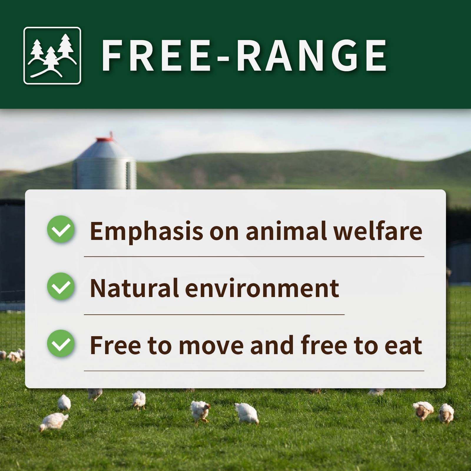 Certified Organic Free-Range Chicken Boneless Thighs from New Zealand (500g)