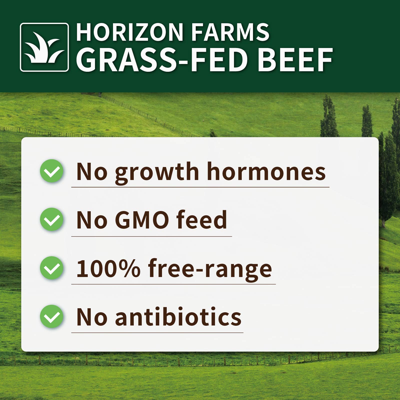 (Limited) Grass-Fed Lean Premium Ground Beef 80/20 (300g) - Horizon Farms