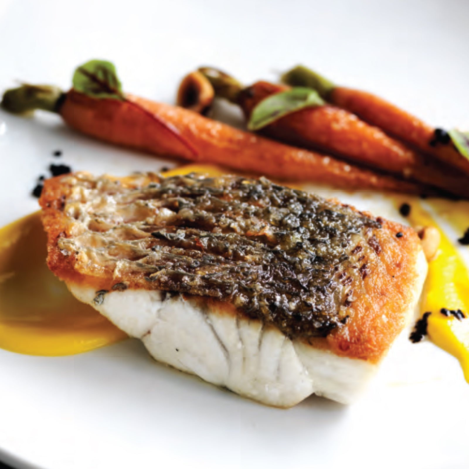 Sashimi Grade Barramundi Fillet from Australia (540g) - Horizon Farms