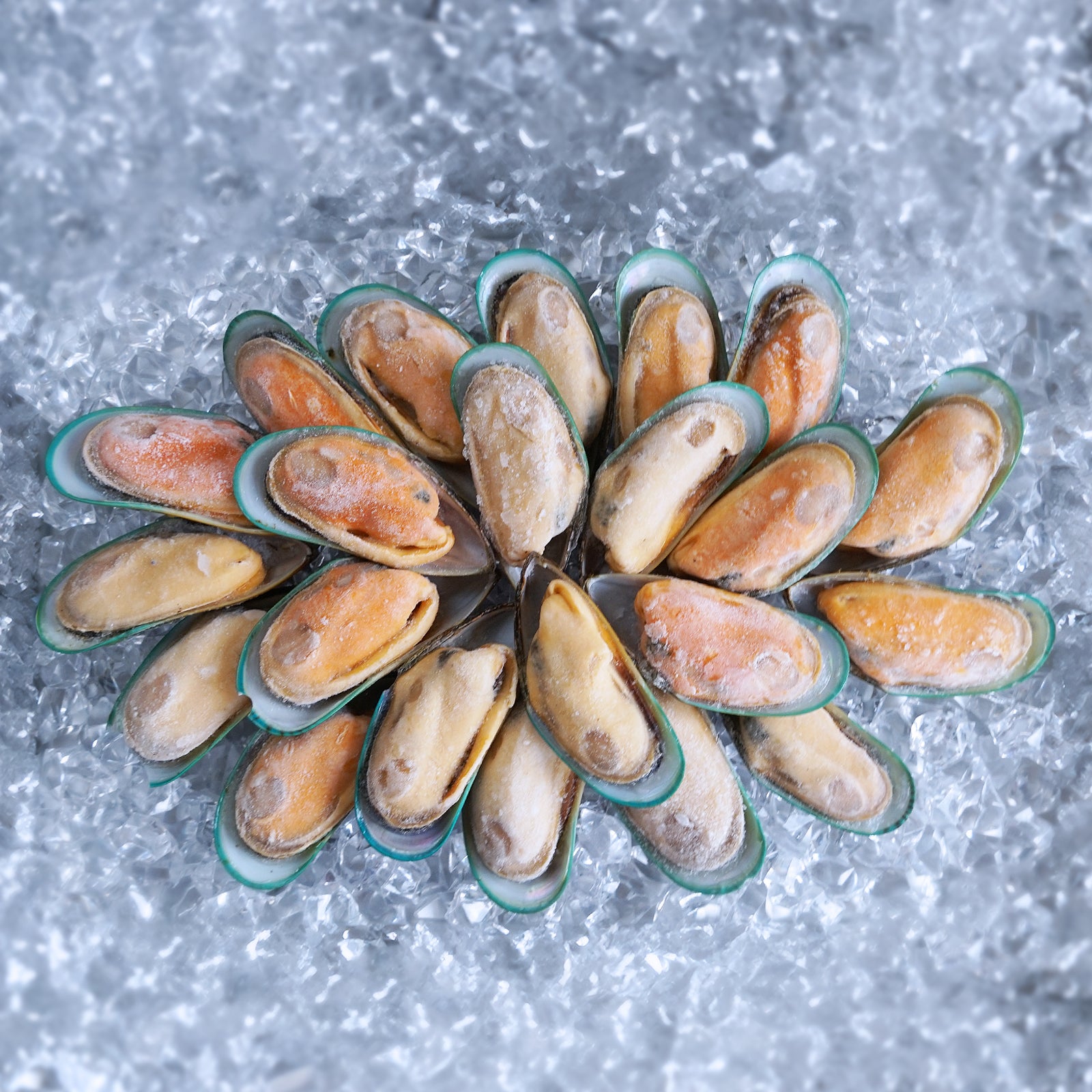 Organic Greenshell Mussels from New Zealand (1kg) - Horizon Farms