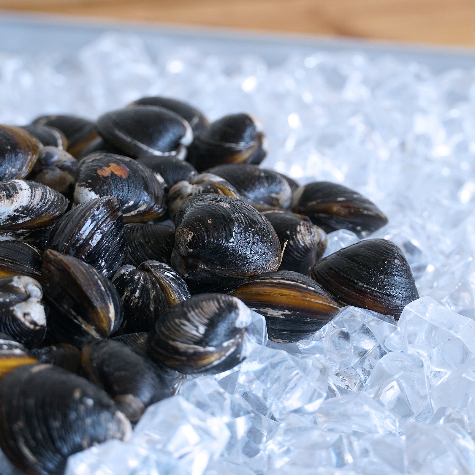 All-Natural Frozen De-Sanded Shijimi Clams from Japan (500g) - Horizon Farms