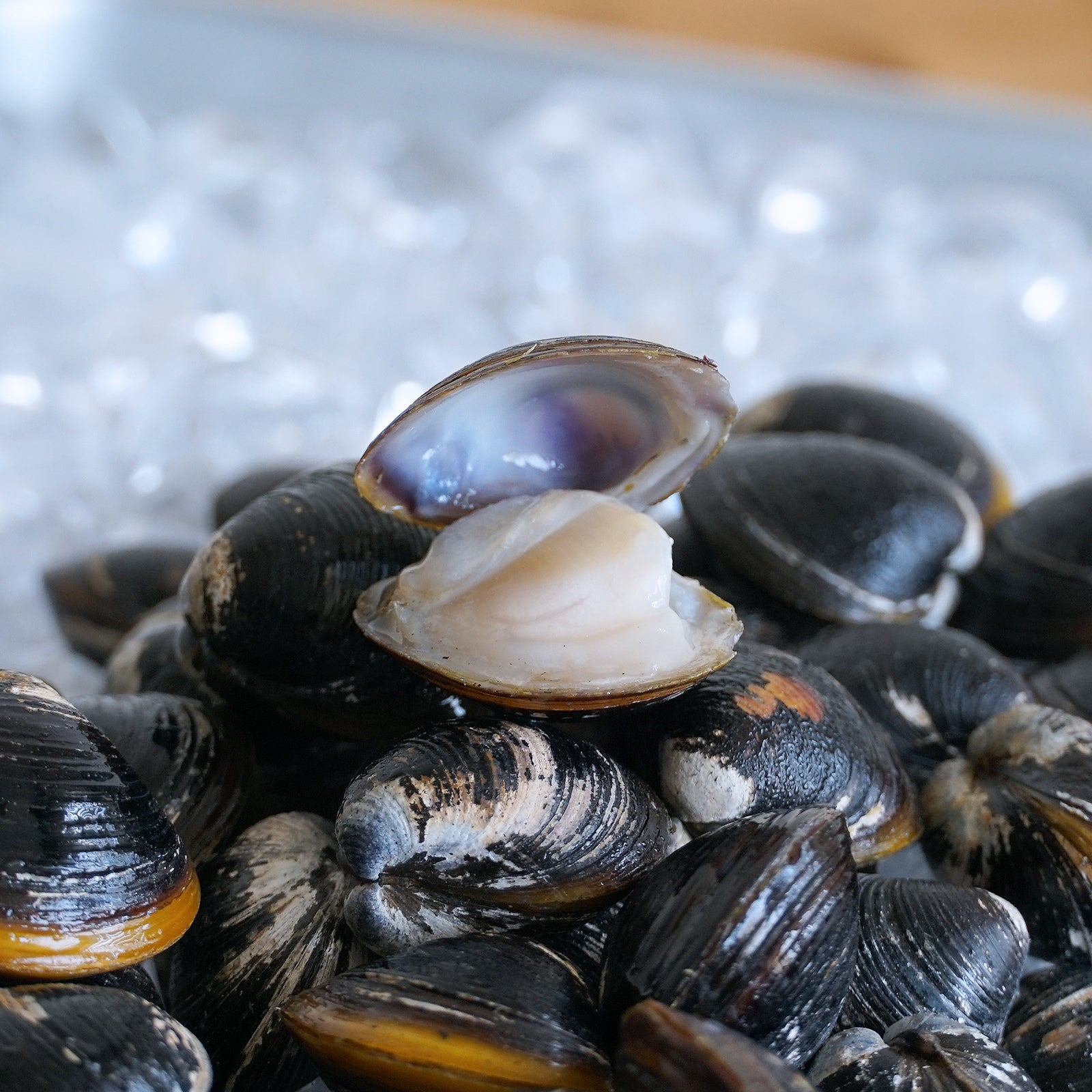 All-Natural Frozen De-Sanded Shijimi Clams from Japan (500g) - Horizon Farms