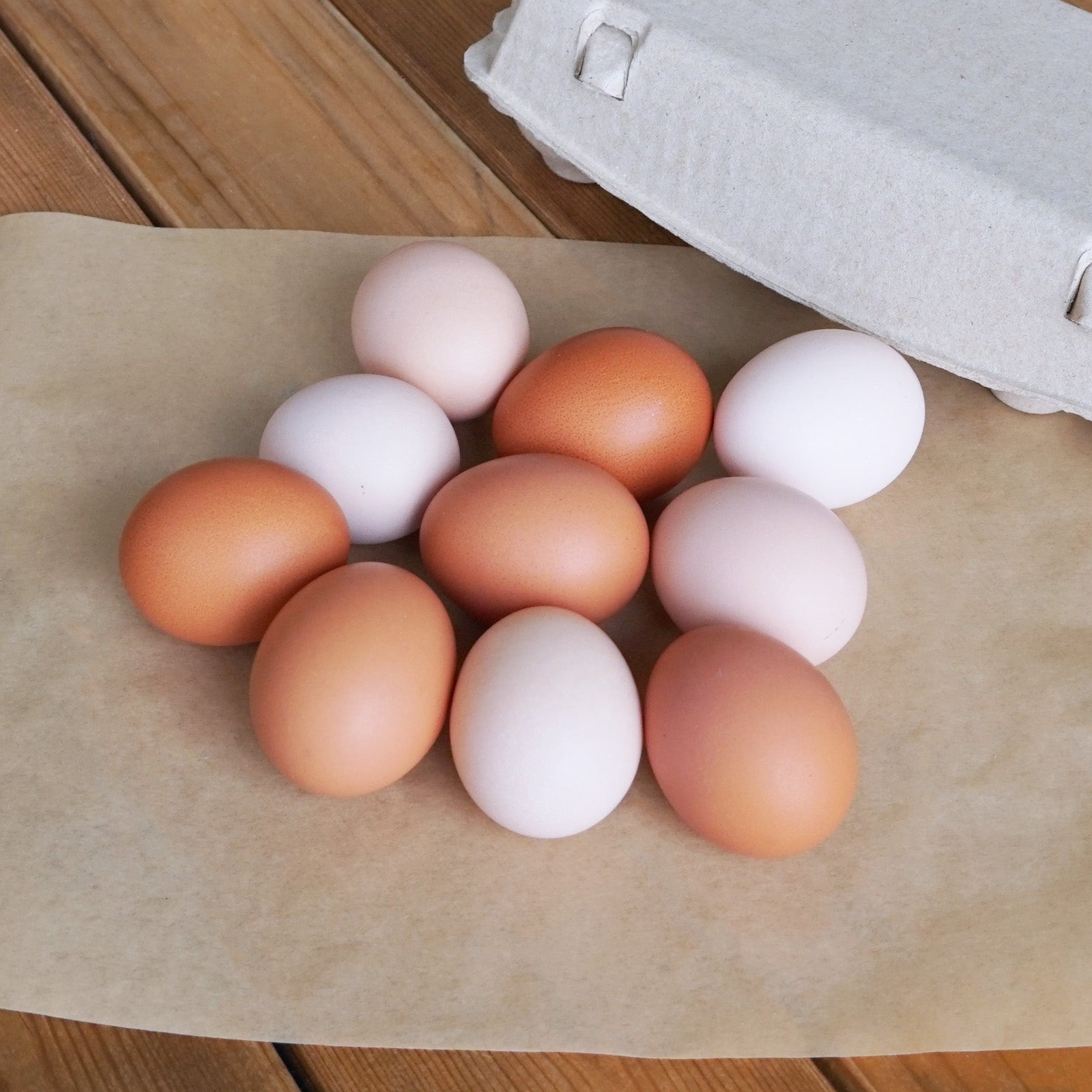 Real Range-Free Eggs from Japan (20 Eggs) (¥1,150 Shipping) - Horizon Farms