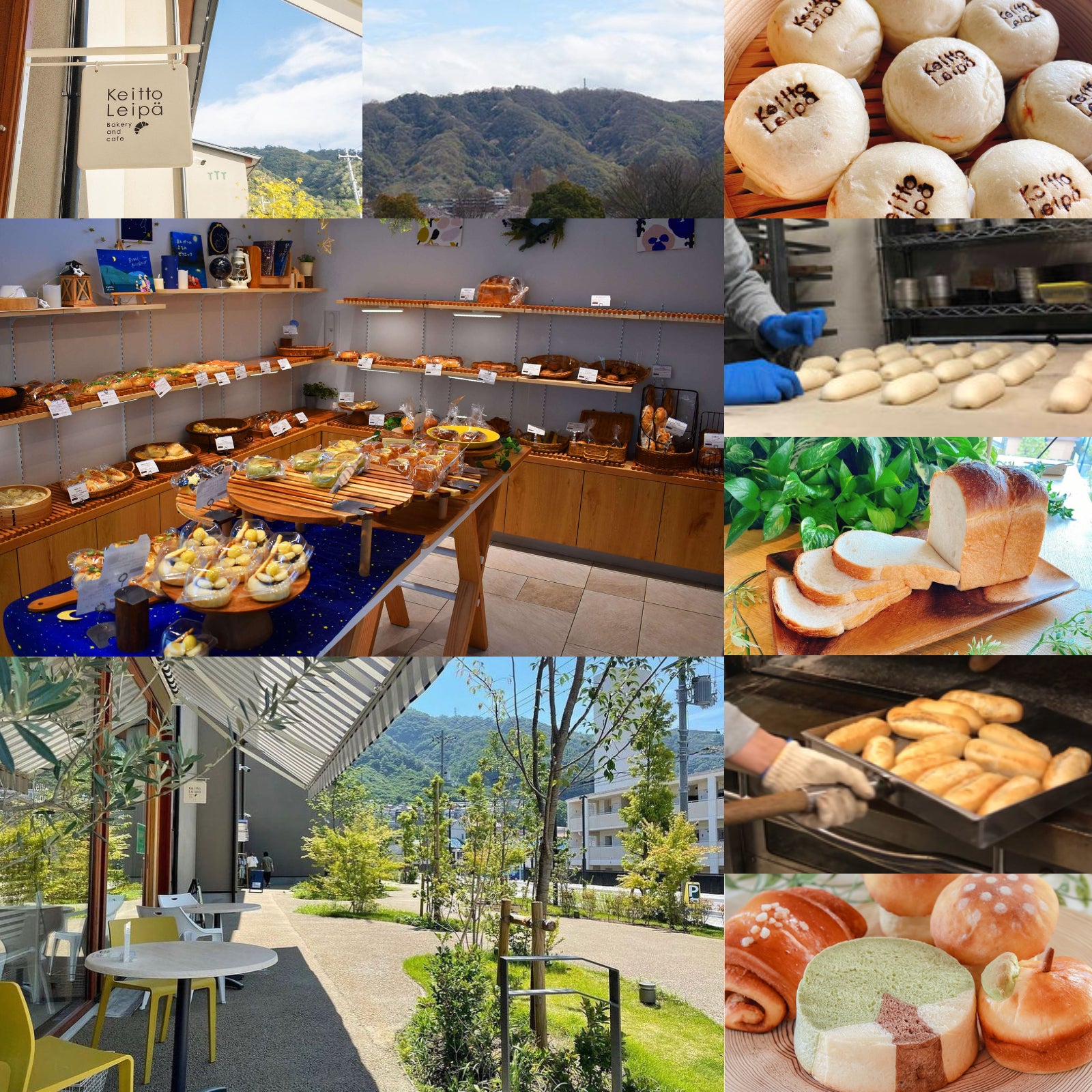 All-Natural Handmade Sugar-Free Egg-Free Dinner Rolls B-Grade (5pc) Best By: August 30th, 2025 - Horizon Farms