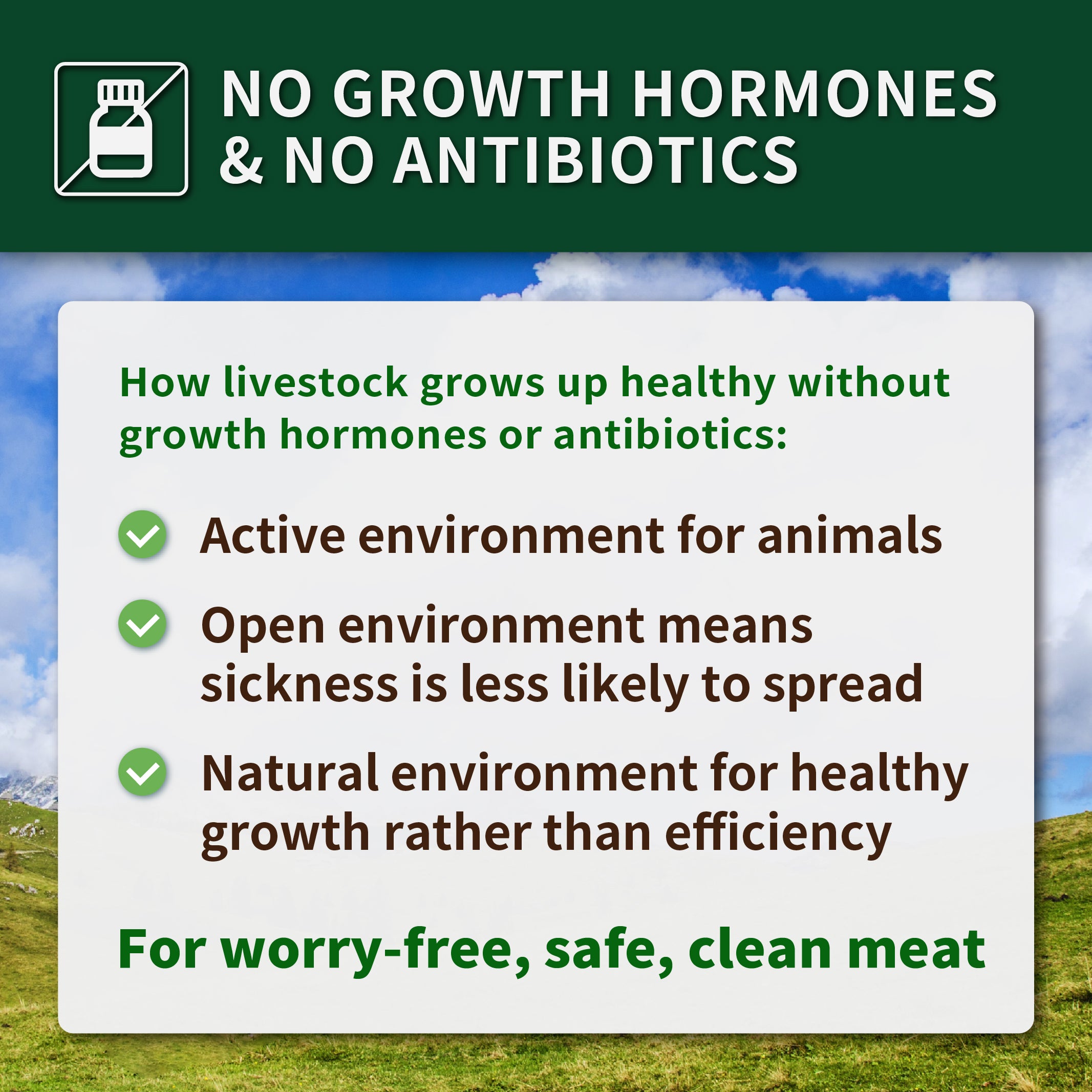 All-Natural Free-Range Sugar-Free Pork Sausage with Mushroom From Hokkaido (5pc) Best By: May 18th, 2026 - Horizon Farms