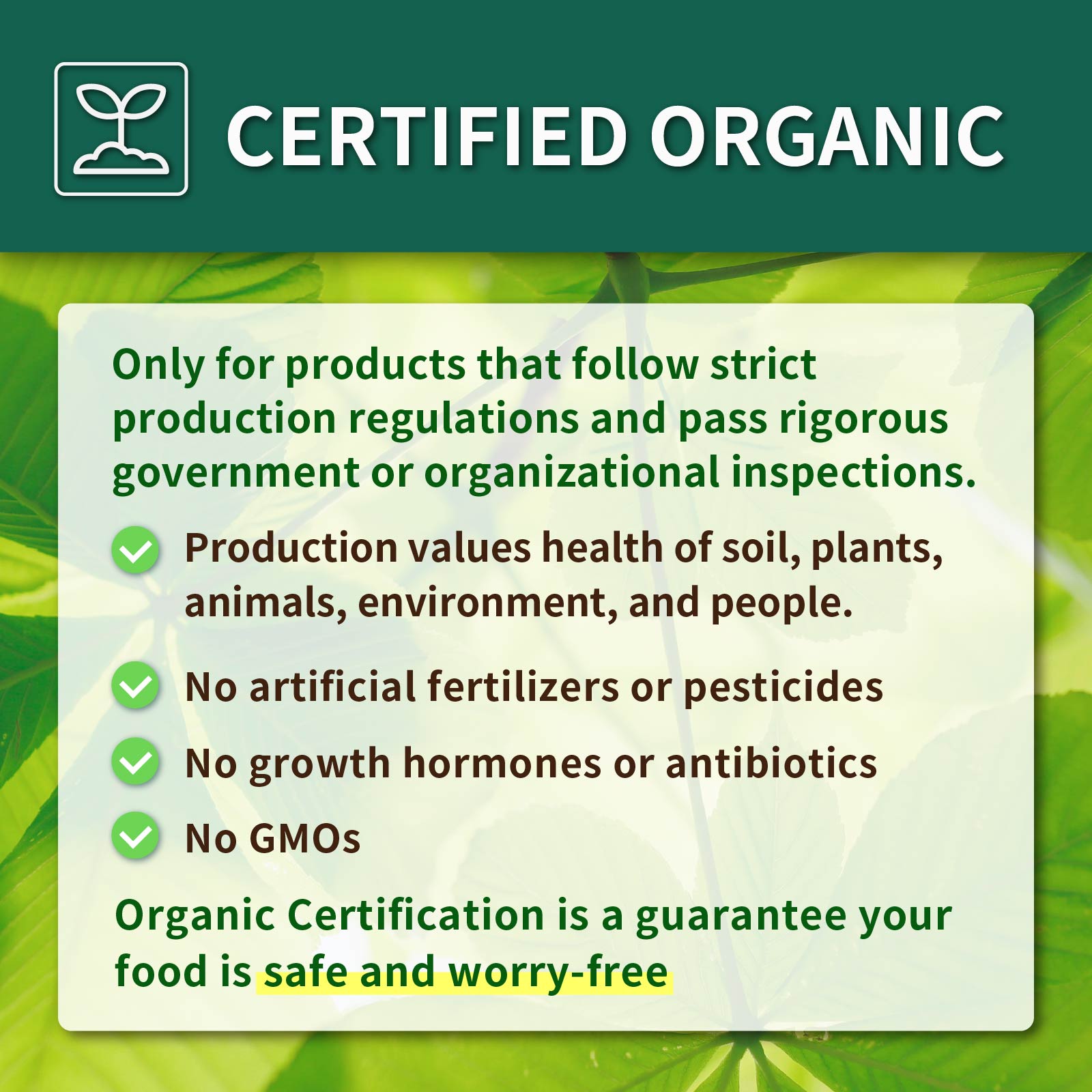 Certified Organic All-Natural "Sea Grapes" Seaweed (20g x 10)