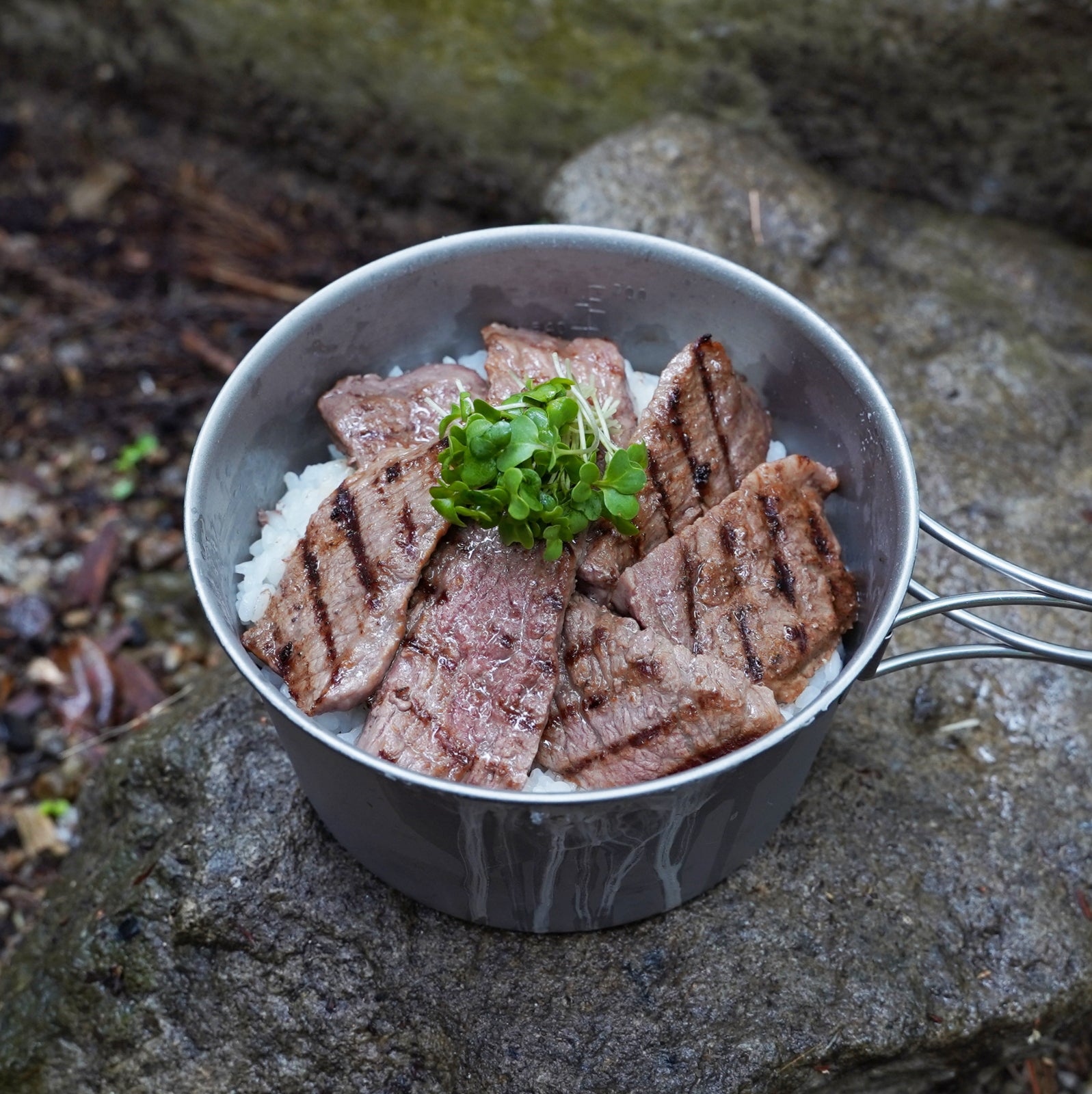 Premium American Grain-Fed Beef Kalbi BBQ Slices from the USA (100g) - Horizon Farms