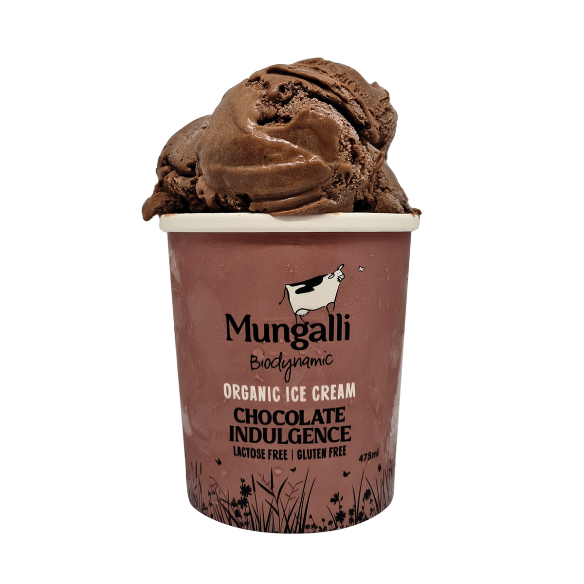 Certified Organic Chocolate Indulgence Ice Cream from Australia (475-1000ml) - Horizon Farms