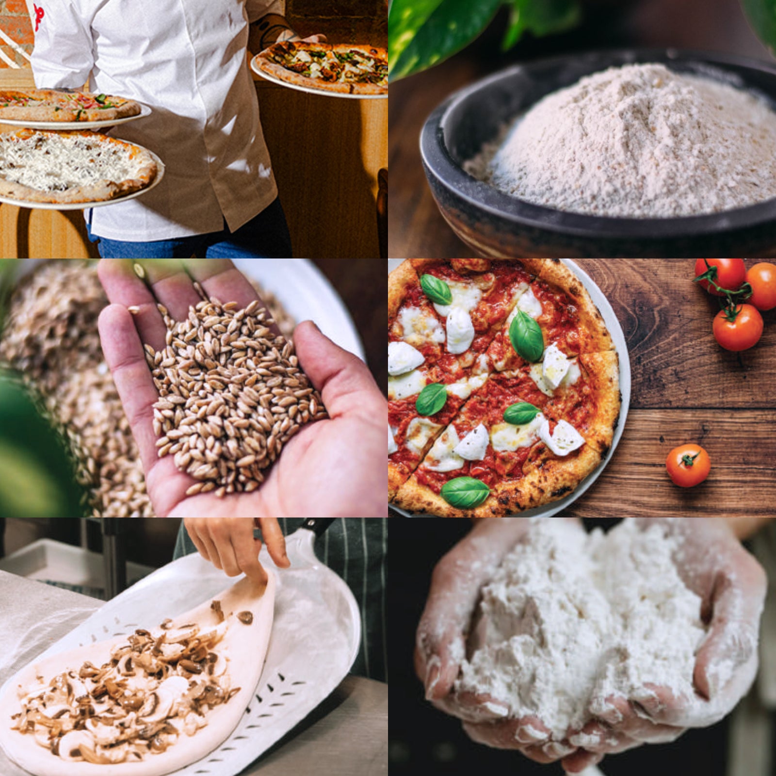 Certified Organic No-Sugar-Added Spelt Wheat Veggie Pizza (25cm) - Horizon Farms