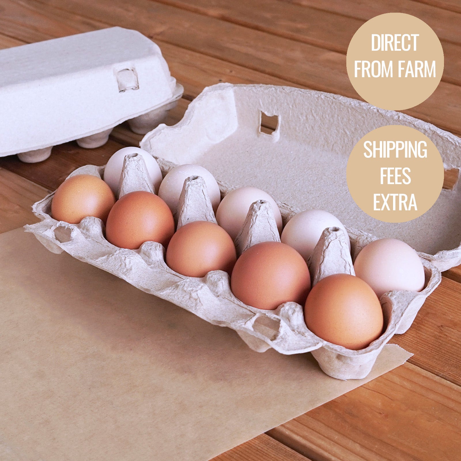 Real Range-Free Eggs from Japan (20 Eggs) (¥1,150 Shipping) - Horizon Farms