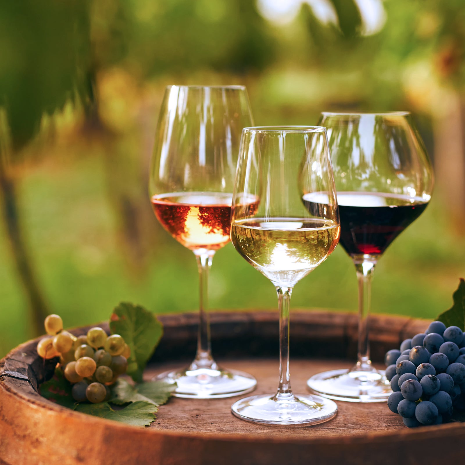 Organic White Wine Ijalba Viura from Spain (750ml)