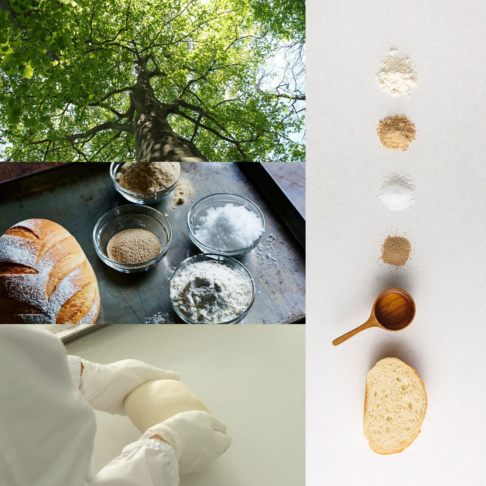 All-Natural Dairy-Free Egg-Free Sliced Walnut Bread (8 Slices) - Horizon Farms