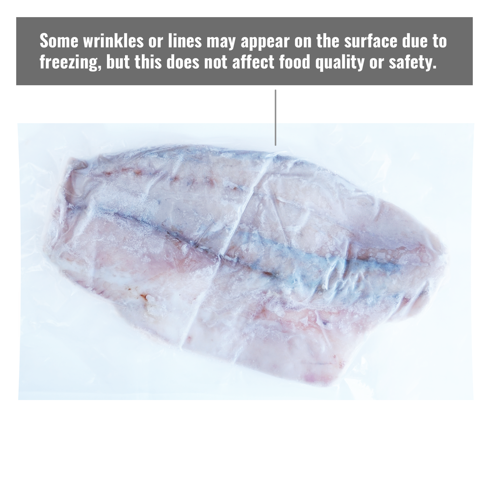 Sashimi Grade Barramundi Fillet from Australia (540g) - Horizon Farms