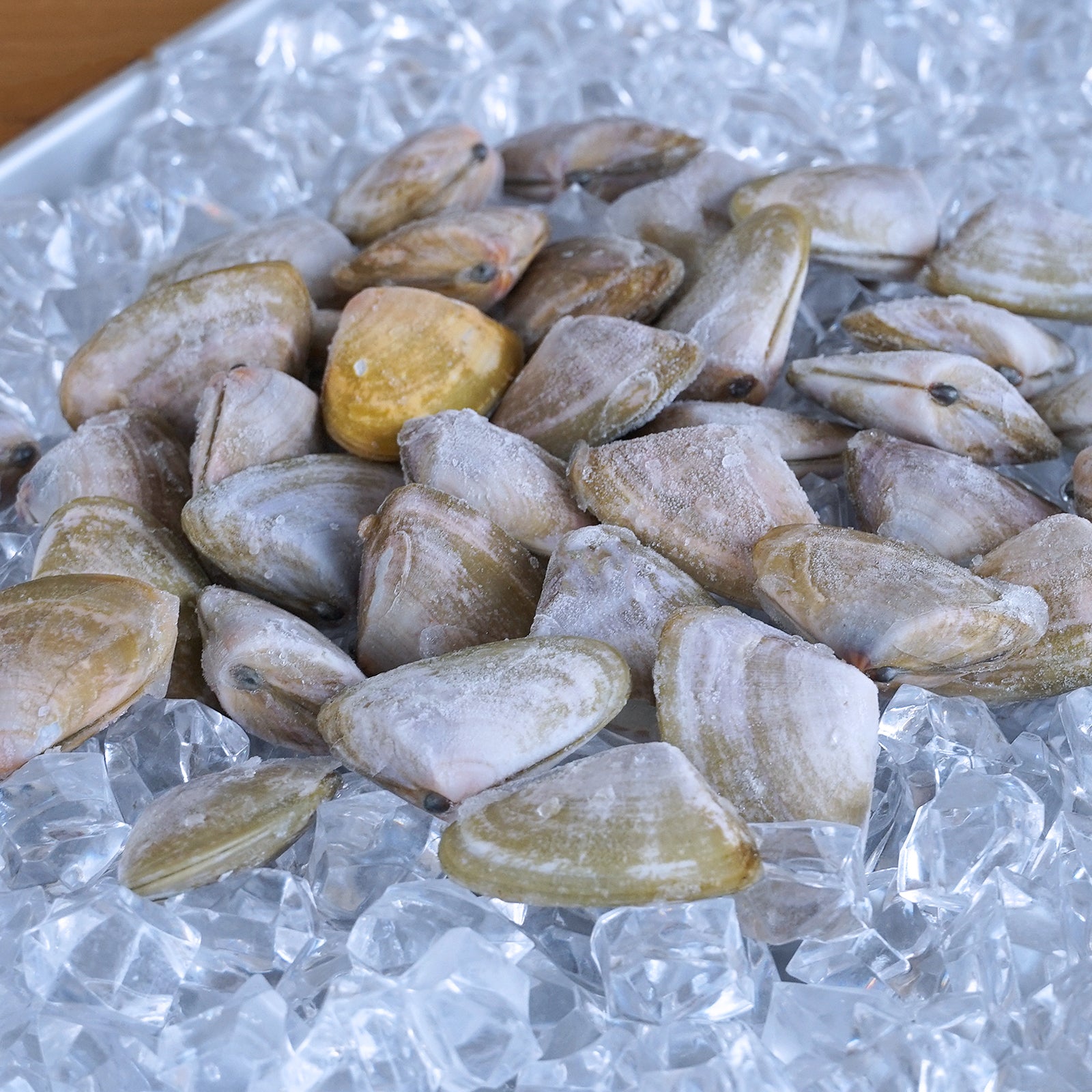MSC Certified Wild-Caught Shell-On De-Sanded Pipi Clams from Australia (400g) - Horizon Farms