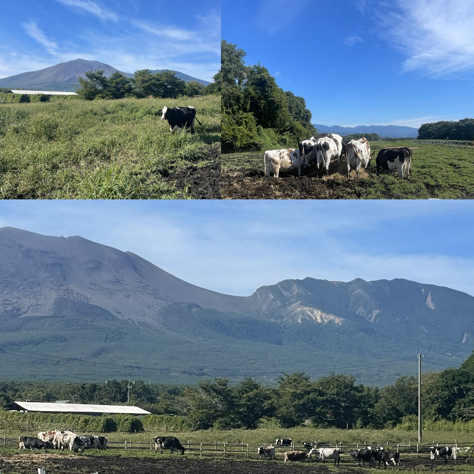 Certified Organic Unsweetened Drink Yogurt from Japan (200g x 3) (Terms & Conditions Apply)