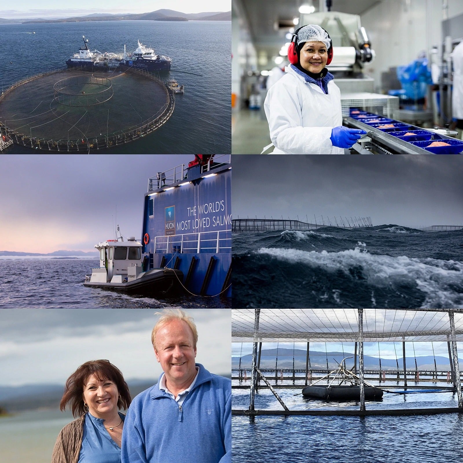 Tasmanian Premium Sashimi Grade Salmon Fillet Portion B-Grade (200g) - Horizon Farms