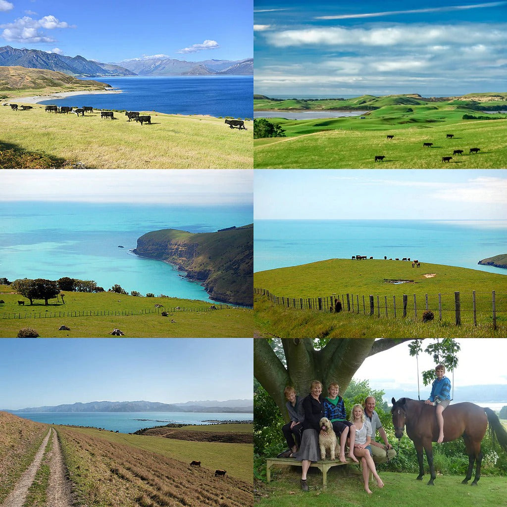 Grain-Fed Beef Flap Meat Slices from New Zealand B-Grade (300g) Best By: October 30th, 2025 - Horizon Farms