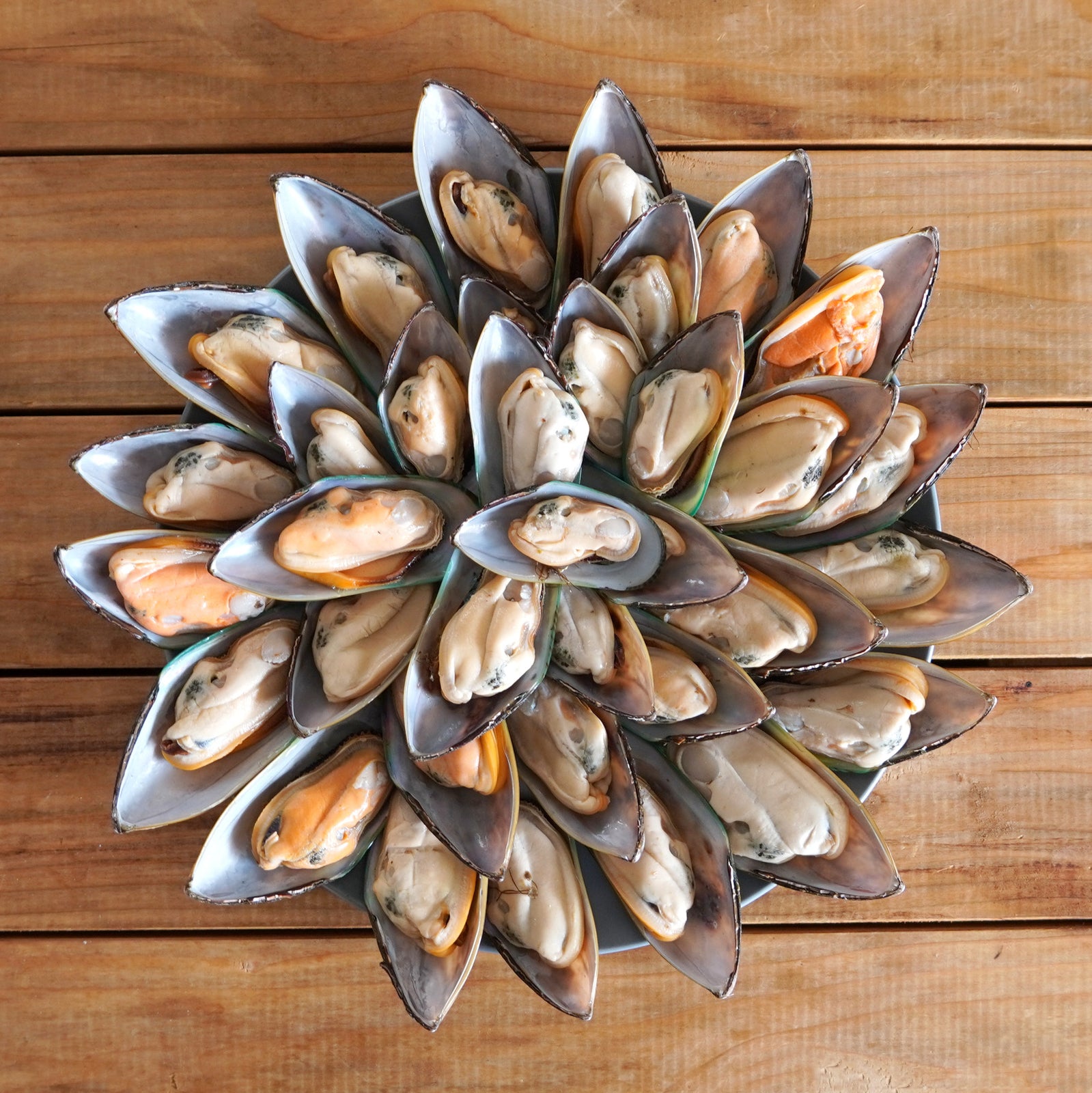 Greenshell Half-Shell Mussels from New Zealand (1kg) - Horizon Farms