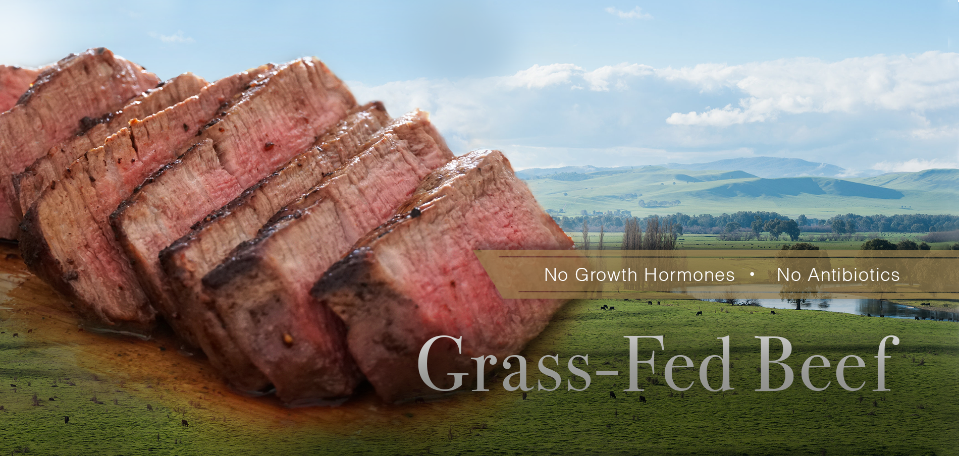 No Growth Hormones・No Antibiotics Grass-Fed Beef