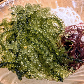 Certified Organic All-Natural "Sea Grapes" Seaweed (20g x 10) - Horizon Farms