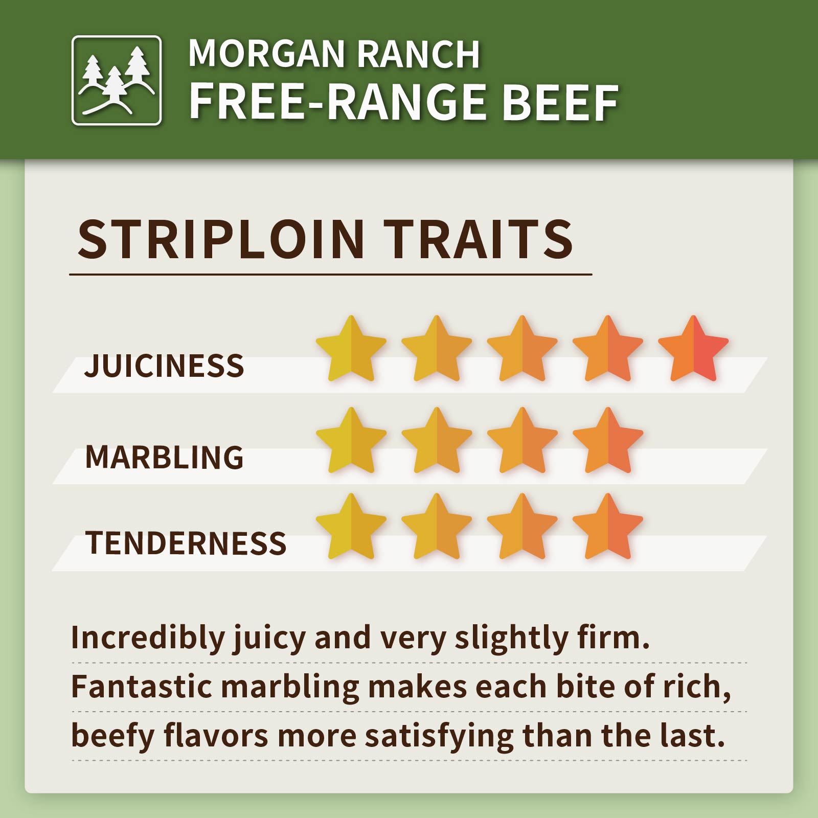 Morgan Ranch USDA Prime Beef New York Strip Steak (200g) - Horizon Farms