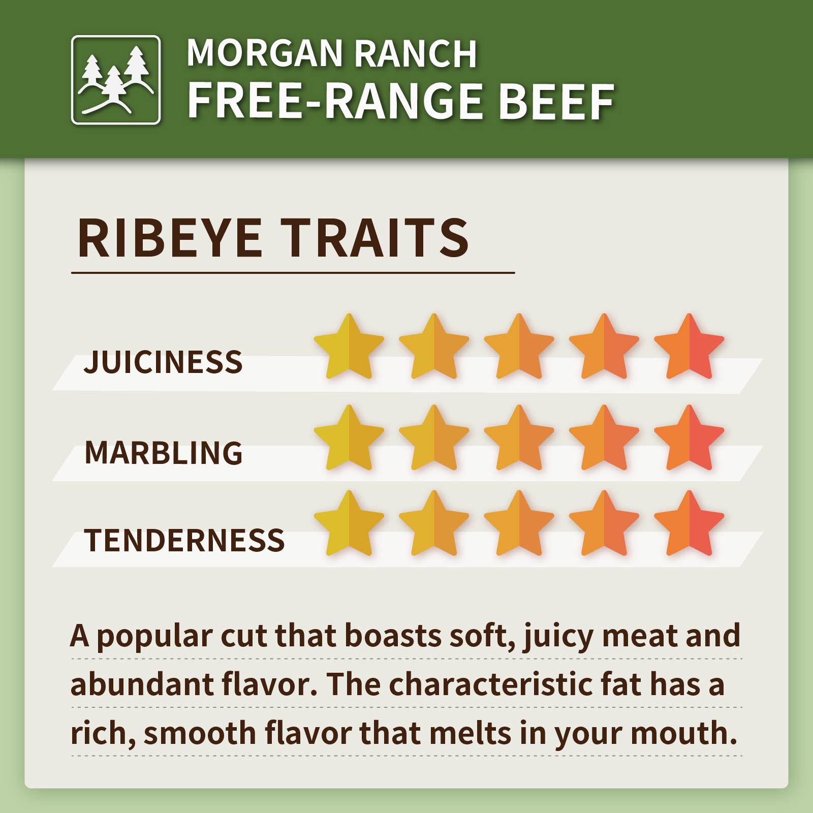 Morgan Ranch USDA Prime Beef Ribeye Steak (200g) - Horizon Farms