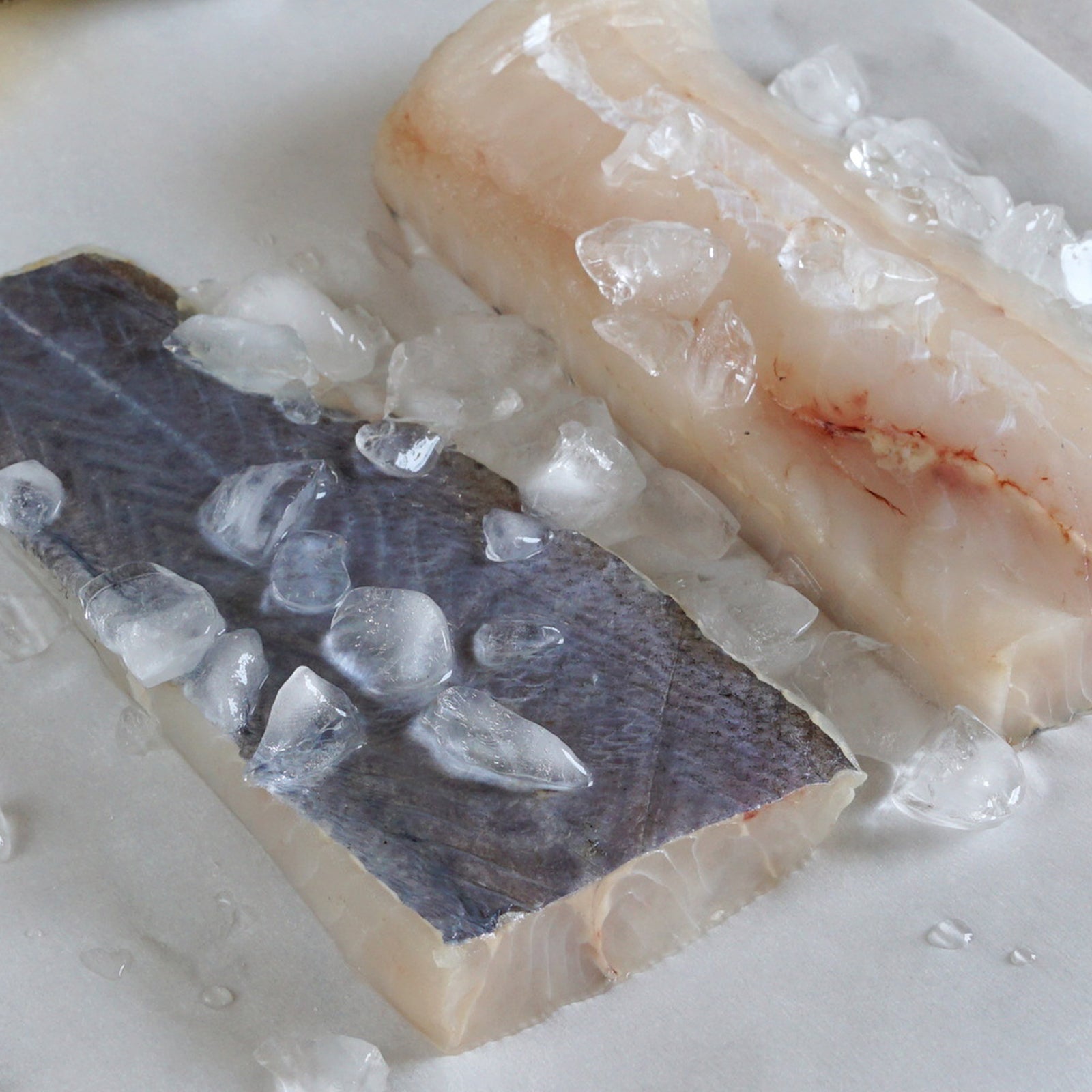 Wild-Caught Hoki Fish Fillets from New Zealand (450g) - Horizon Farms