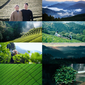 Certified Organic "Sencha" Green Tea Powder from Japan (30g/30 Servings) - Horizon Farms