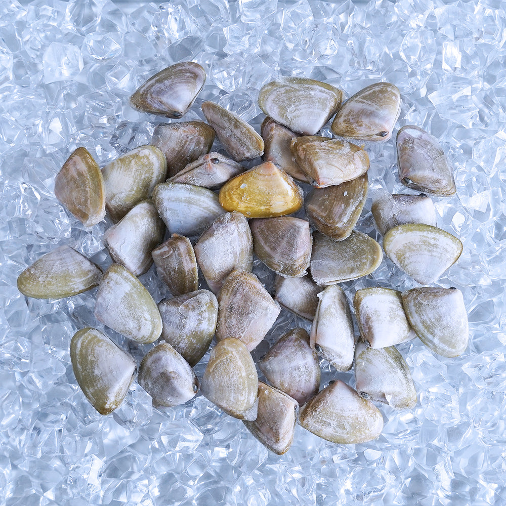 MSC Certified Wild-Caught Shell-On De-Sanded Pipi Clams from Australia