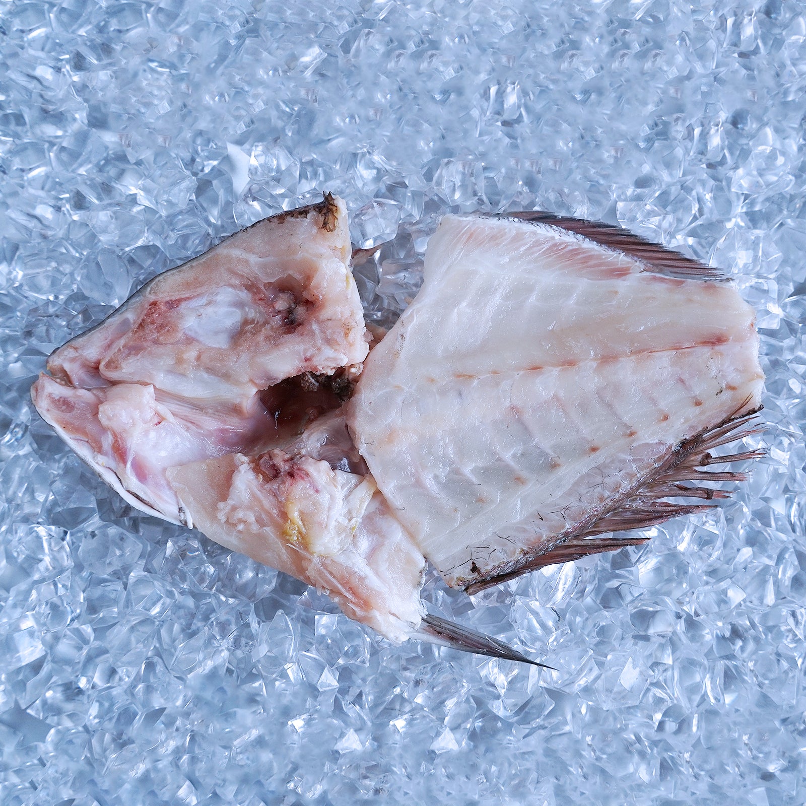 BAP-Certified Red Seabream Fish Frames / Bones for Broth from Japan (300g) - Horizon Farms