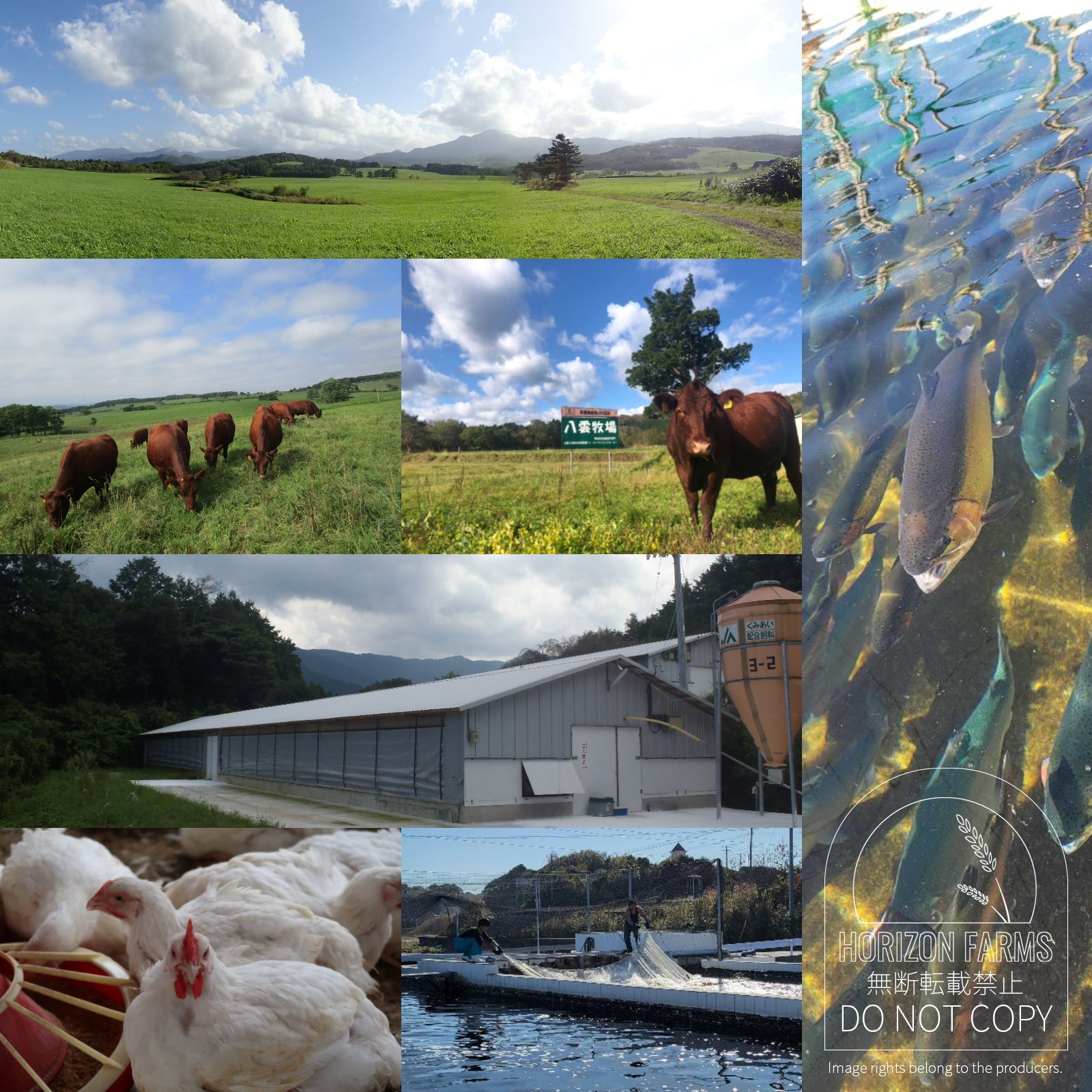[For Dogs & Cats] All-Natural Unsalted Grass-Fed Beef Bone Broth from Hokkaido (120g) - Horizon Farms