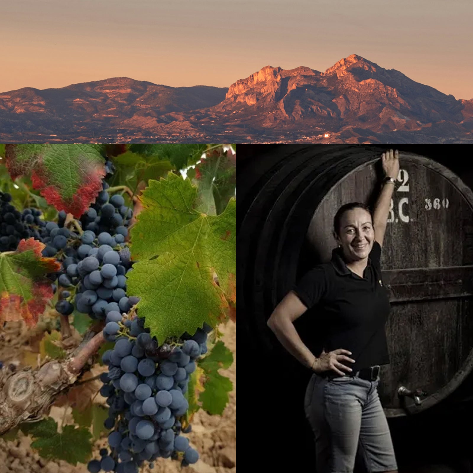 Organic Red Wine Pinoso Cepa 50 from Spain (750ml) - Horizon Farms