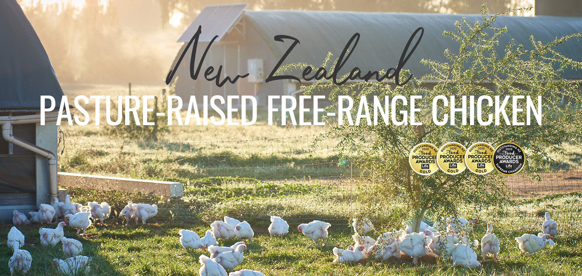 New Zealand Pasture-Raised Free-Range Organic Chicken