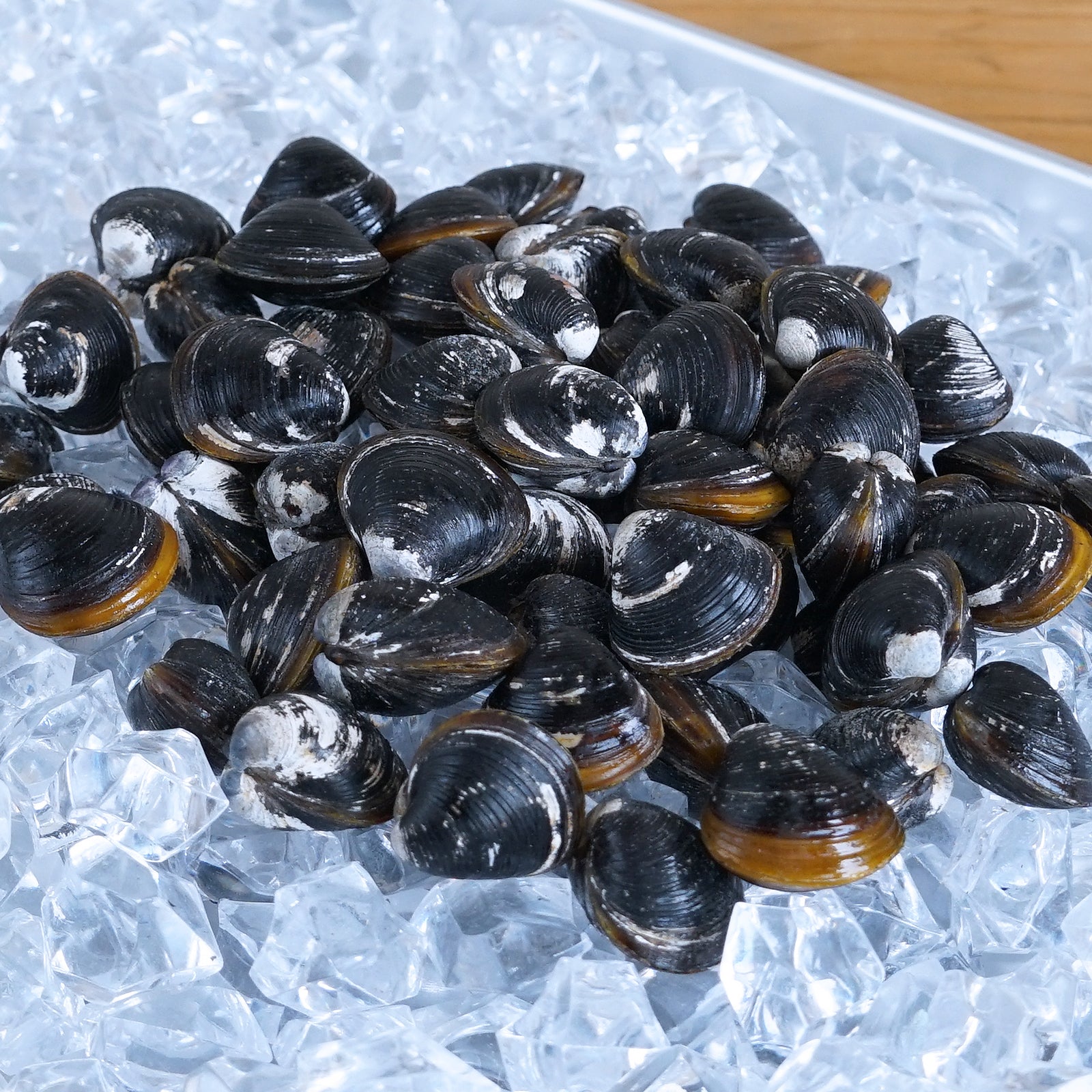 All-Natural Frozen De-Sanded Shijimi Clams from Japan (500g) - Horizon Farms