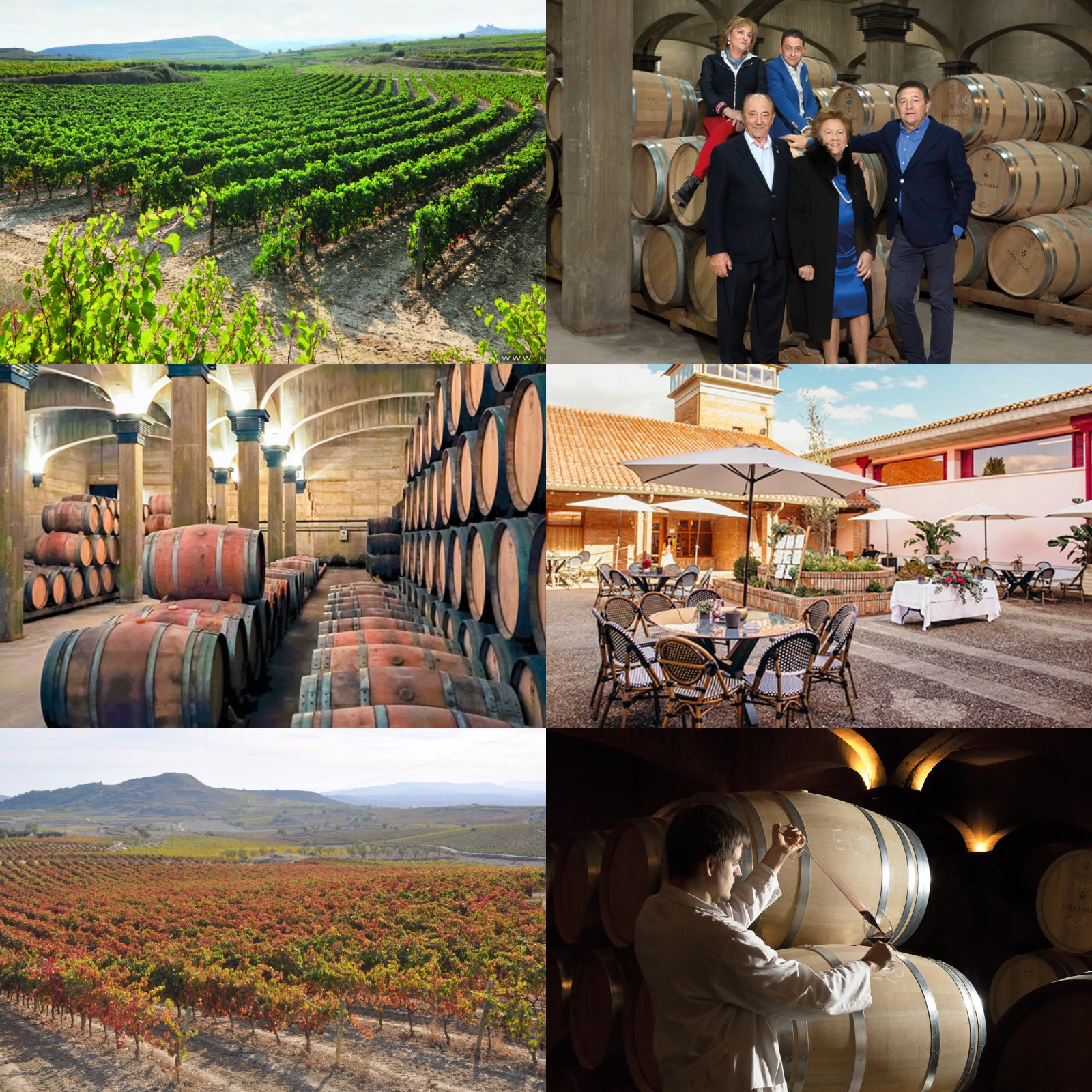 Organic White Wine Ijalba Viura from Spain (750ml)