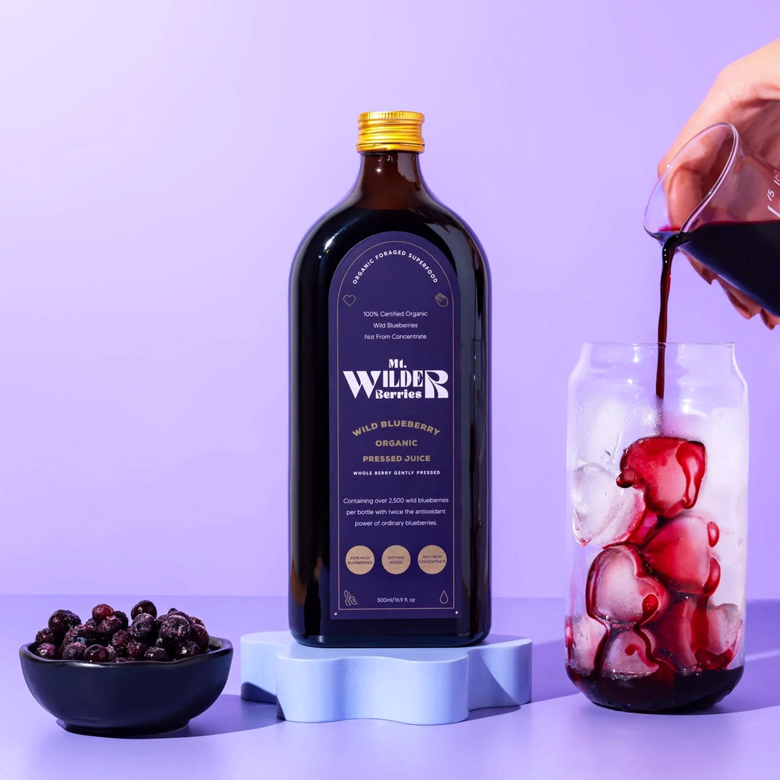 Organic Pure Wild Blueberry Juice from Sweden (500ml) - Horizon Farms