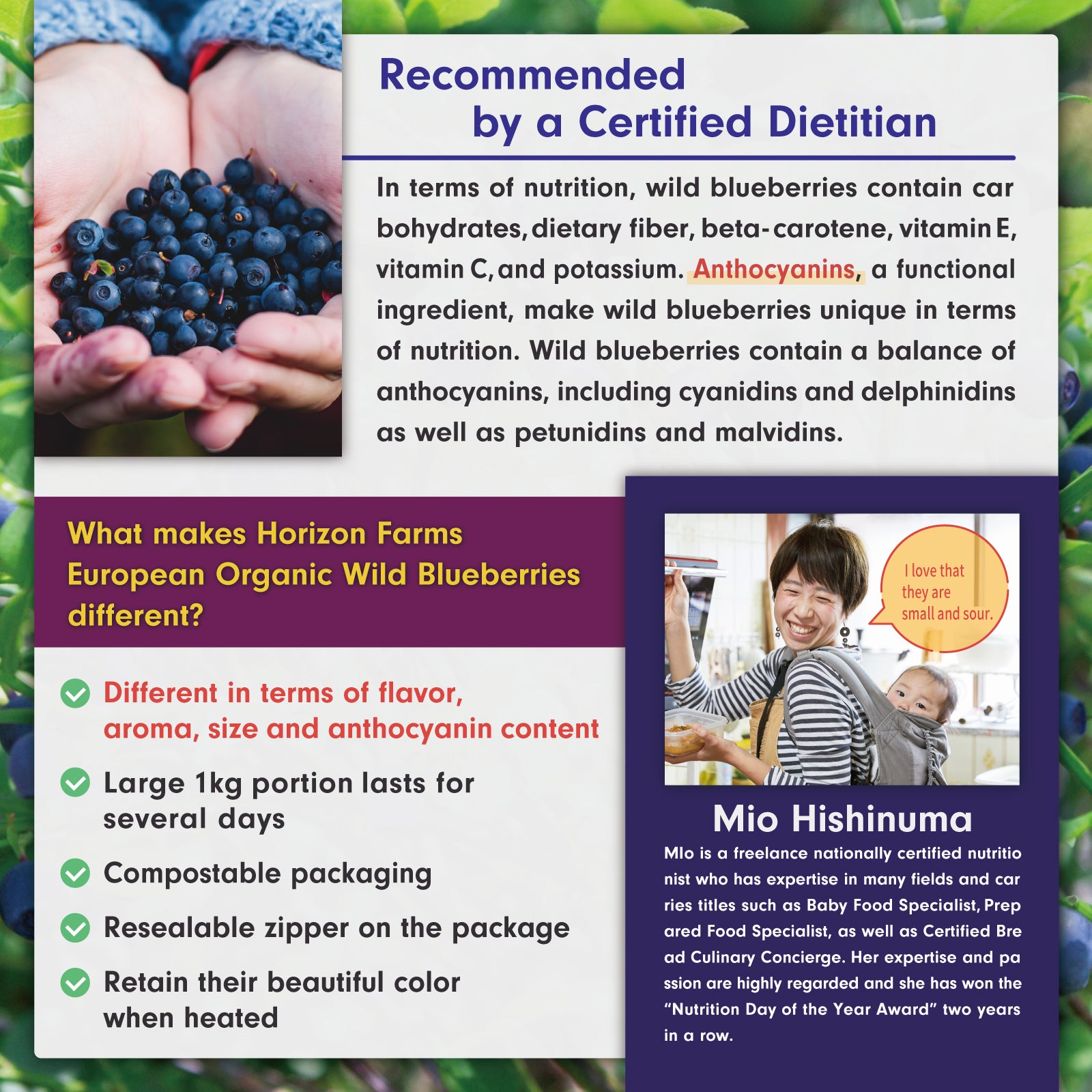 Certified Organic Frozen Forest-Picked Wild Blueberries from Sweden (1kg) - Horizon Farms