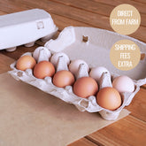 Real Range-Free Eggs from Japan (20 Eggs) (¥1,150 Shipping) - Horizon Farms