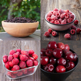 Certified Organic Berries and Cherries Mix Set (4kg) - Horizon Farms