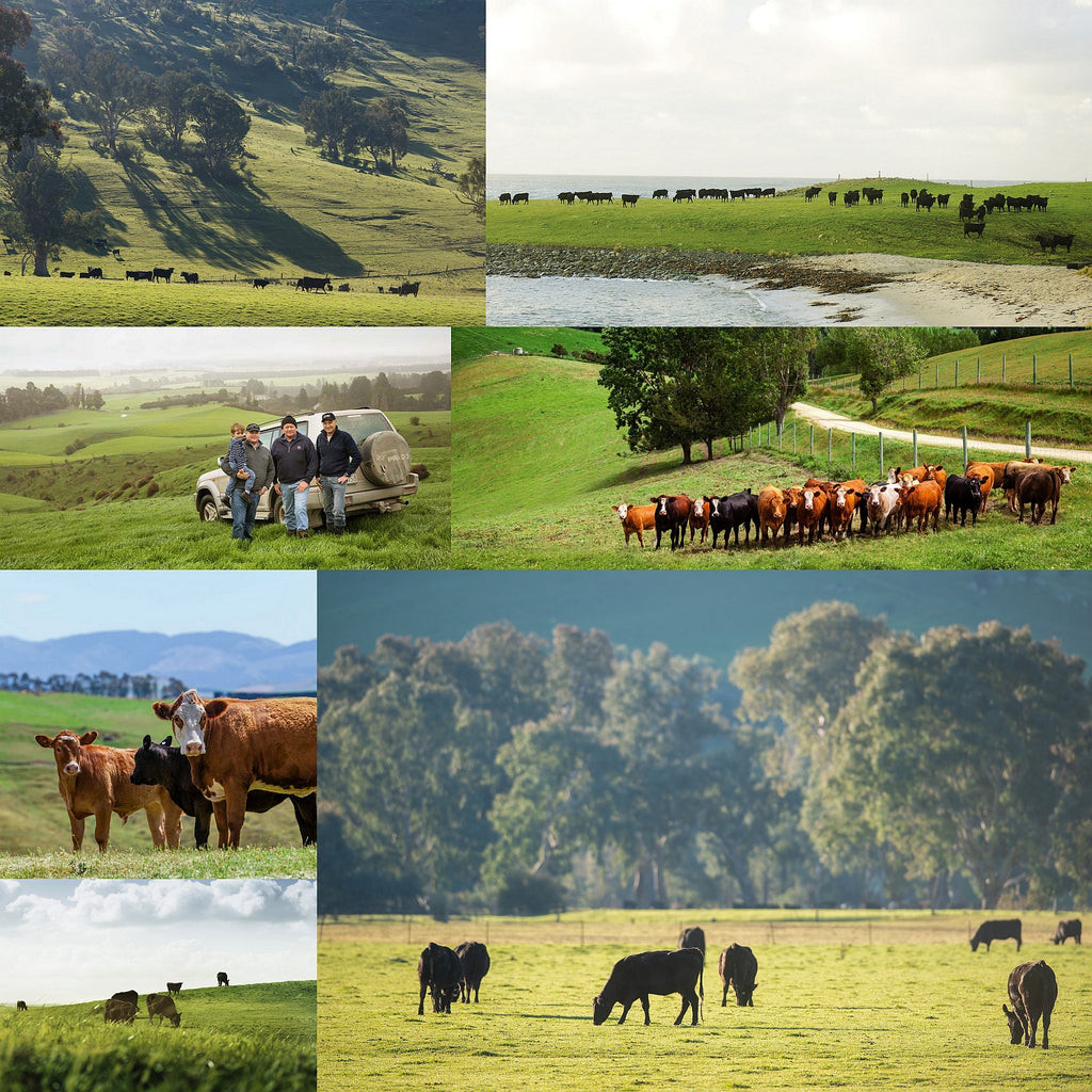 Curated Set of Premium Grass-Fed Beef Striploin Steaks from Australia (10 steaks, 2kg) - Horizon Farms