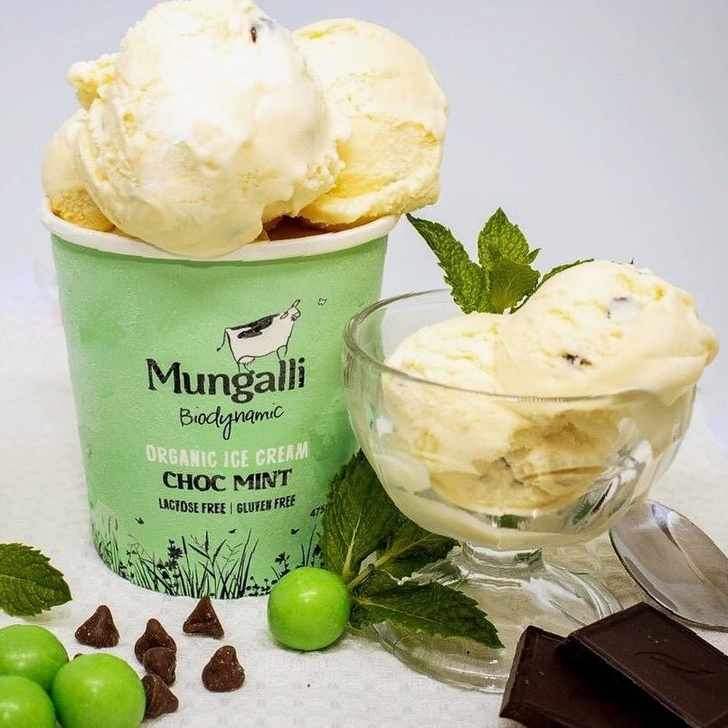 Certified Organic Mint Choc Chip Ice Cream from Australia (475ml) - Horizon Farms