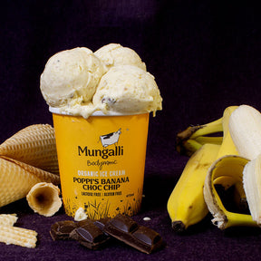 Certified Organic Banana Choc Chip Ice Cream from Australia (475ml) - Horizon Farms
