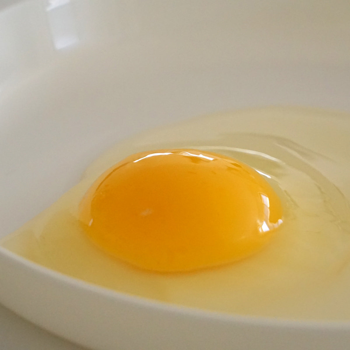Real Free-Range Raw Eggs from Japan (12 Eggs) (Terms & Conditions Apply) - Horizon Farms