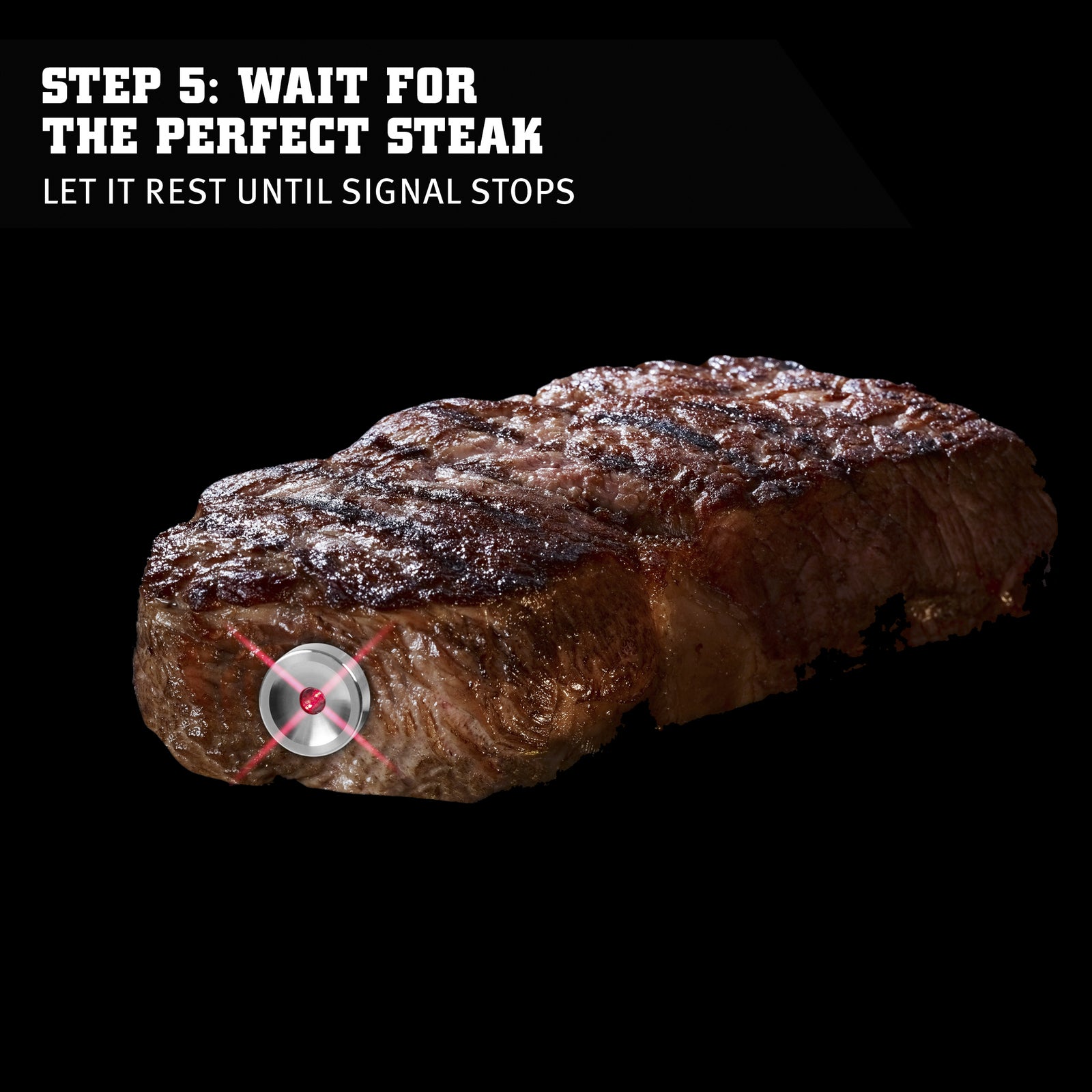 SteakChamp Smart Steak and Roast Thermometer - Horizon Farms