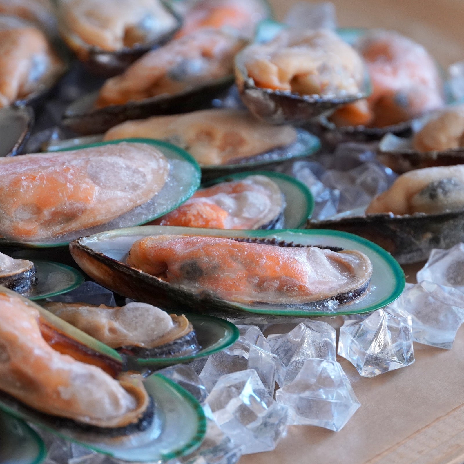 Organic Greenshell Mussels from New Zealand (1kg) - Horizon Farms