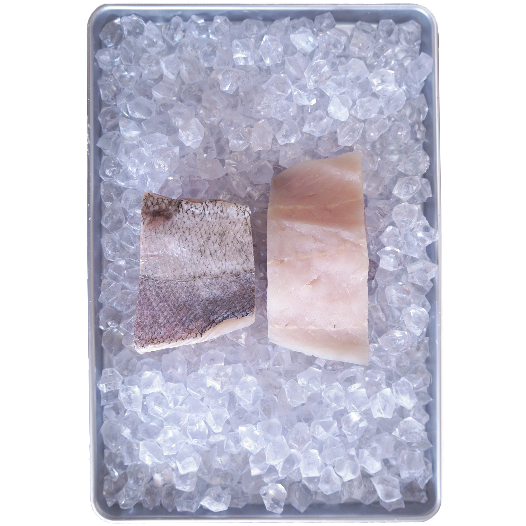 Wild-Caught Hake Fish Fillets from New Zealand (450g) - Horizon Farms