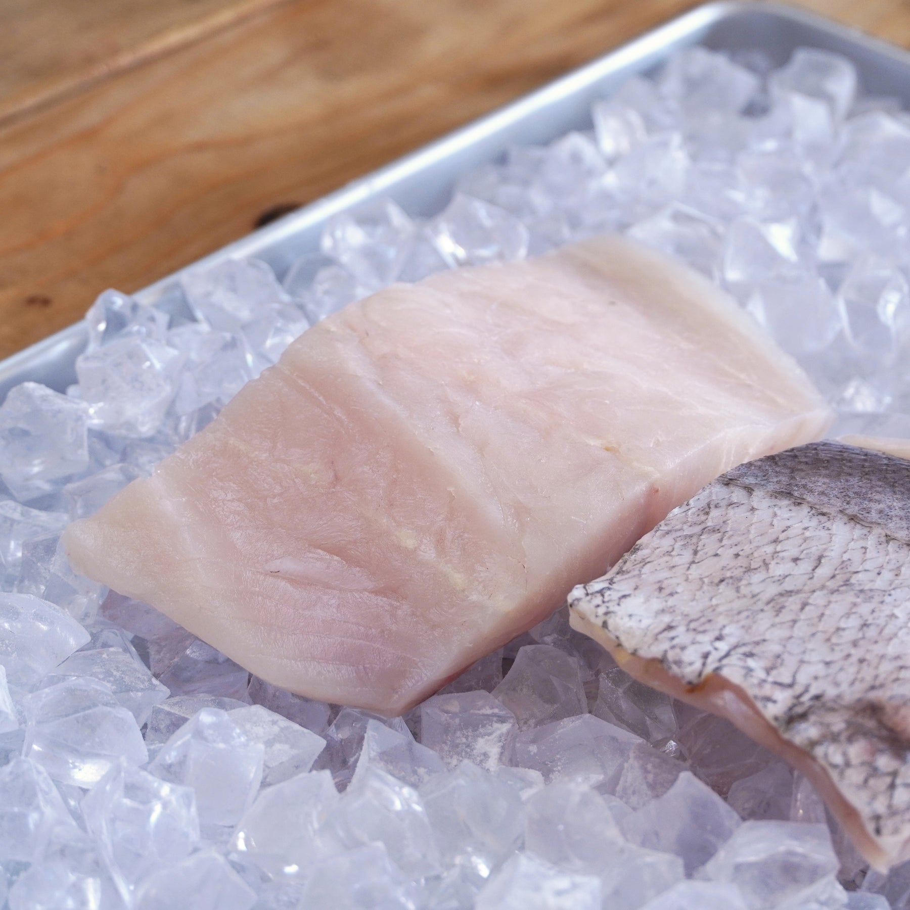 Wild-Caught Hake Fish Fillets from New Zealand (450g) - Horizon Farms